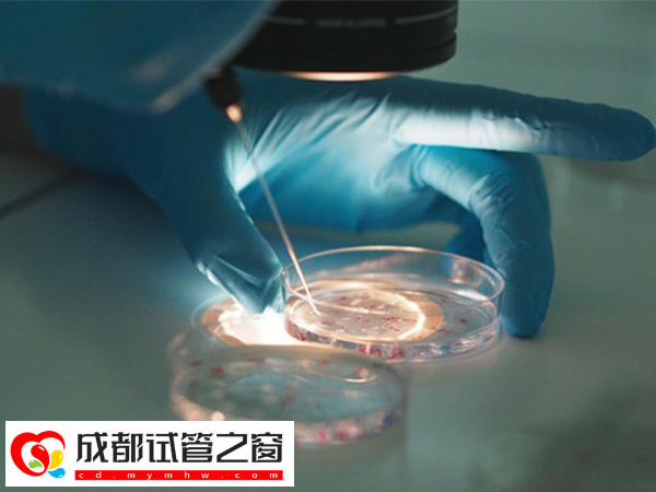 试管2次胚胎质量不好千万别怕，找出原因争取一次成功(图1)